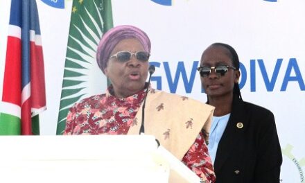 Study education, nursing at your own risk, says President Ndaitwah