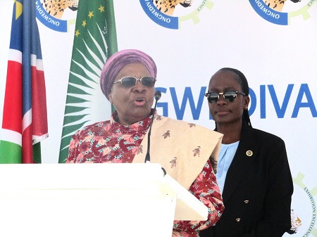 Study education, nursing at your own risk, says President Ndaitwah