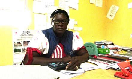 Shack Dwellers Federation: the Unsung Midwife in Housing Delivery